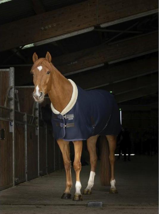 Image du produit Equi-thème EQUITHÈME Teddy Mesh Pferdedecke (145 cm)