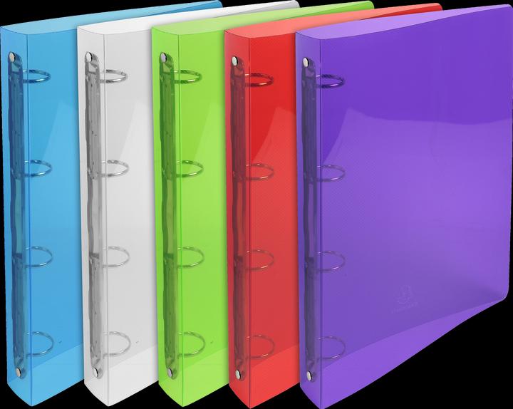 Actual product image Exacompta Ring binders (A4, 40 mm, 240.30 Piece)