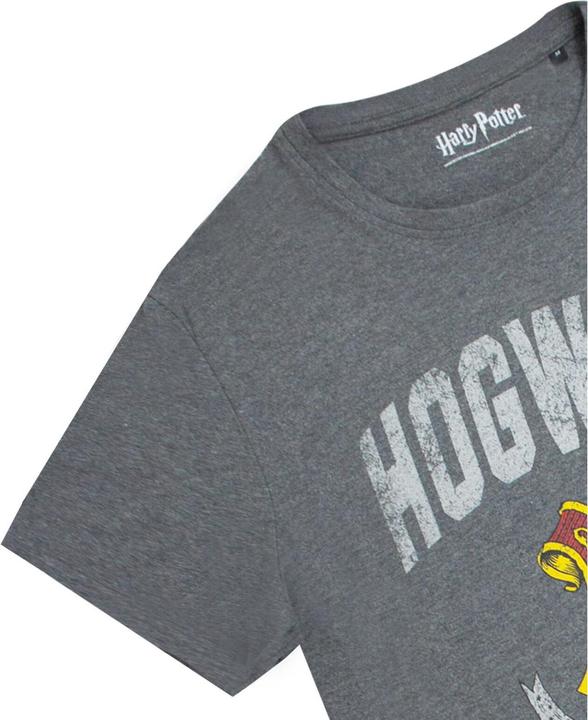 Image du produit T-shirt (L)