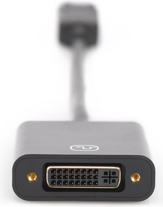 Actual product image Digitus DisplayPort to (DVI, 15 cm)