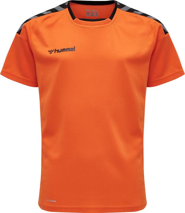 Actual product image hummel Authentic Kids Poly Jersey S/S (176)