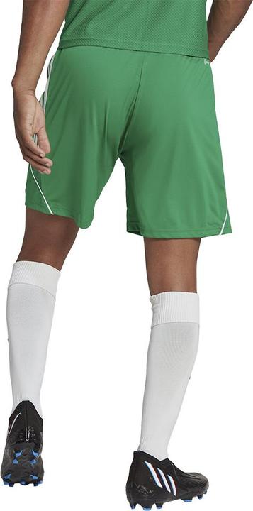 Actual product image adidas Tiro 23 training shorts men (XL)
