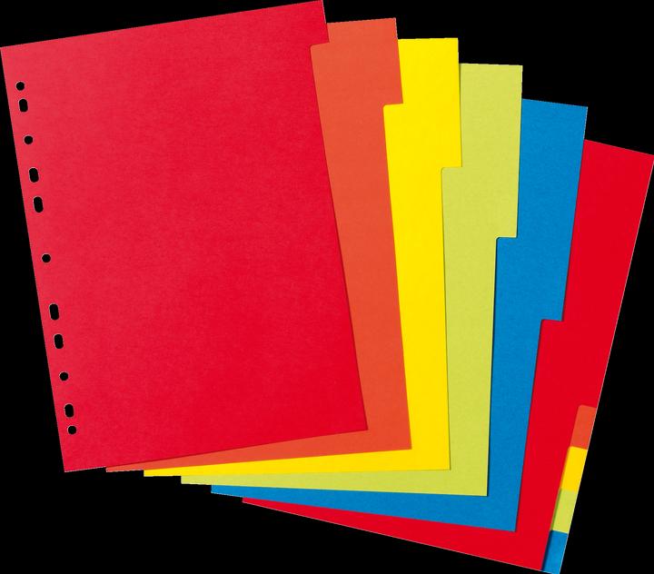 Herlitz 11078086 Register 10-teilig, A4, farbintensiver Manilakarton