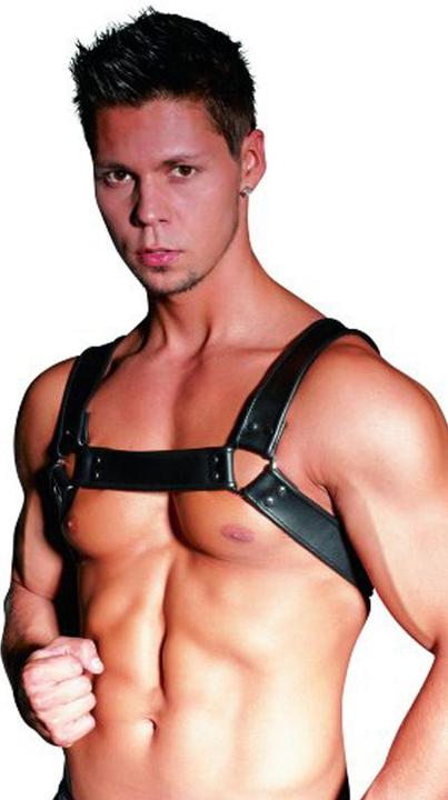 Zado Chest Harness (M)