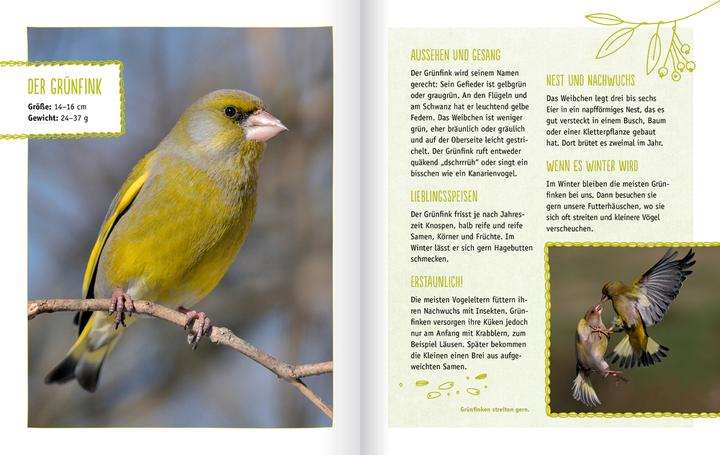 Produktbild Vögel in unserem Garten (Deutsch, Holger Haag, 2021)
