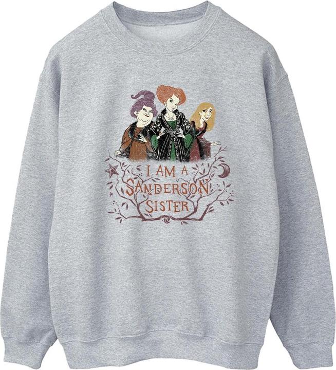 Produktbild Disney Hocus Pocus Sanderson Sister Sweatshirt (XXL)