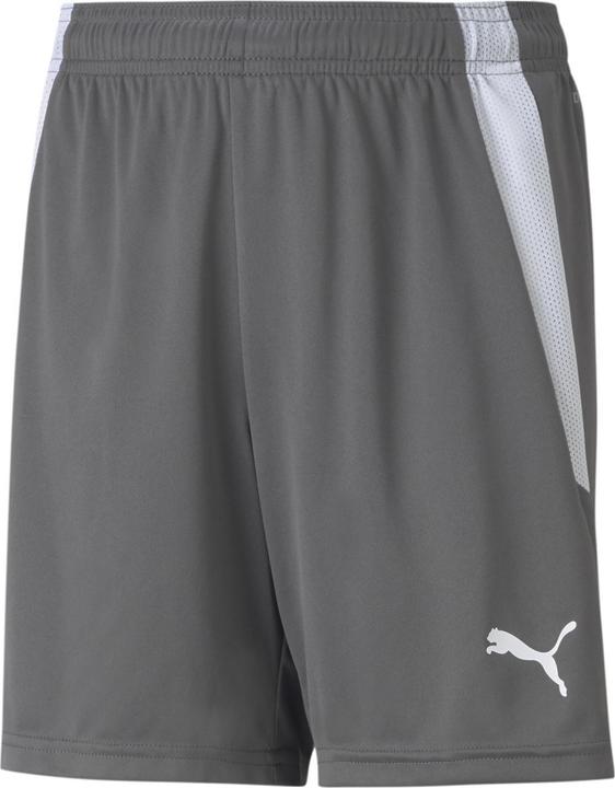 Image du produit Puma short teamLIGA Jr-704931 (140)