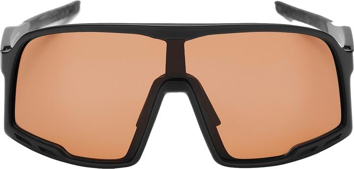 Actual product image CHPO Henrik (Black II, Brown Cat. 2)