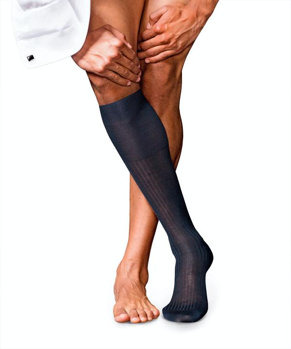 Falke No. 10 KH