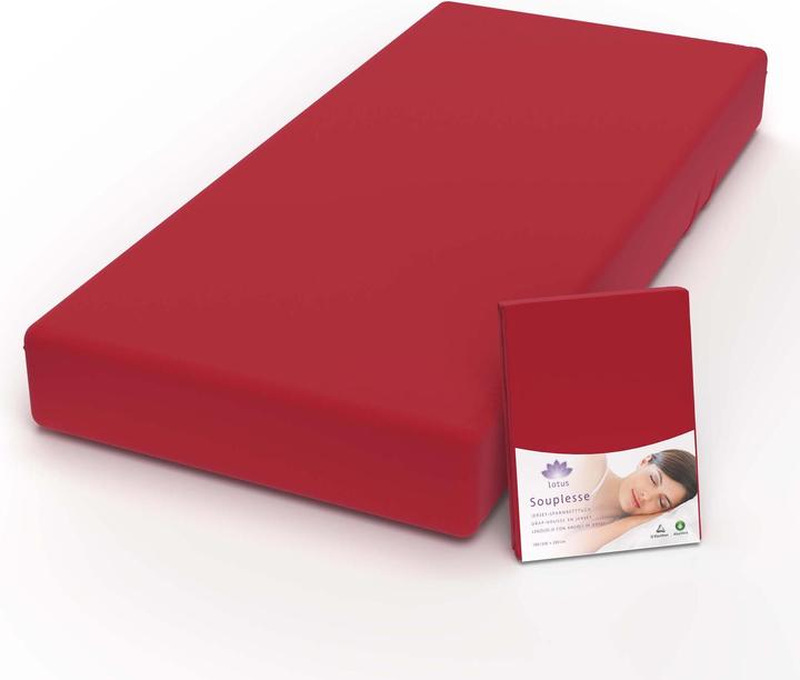 Produktbild Lotus Bettwaren Jersey Fixleintuch Souplesse (120 x 200 cm)