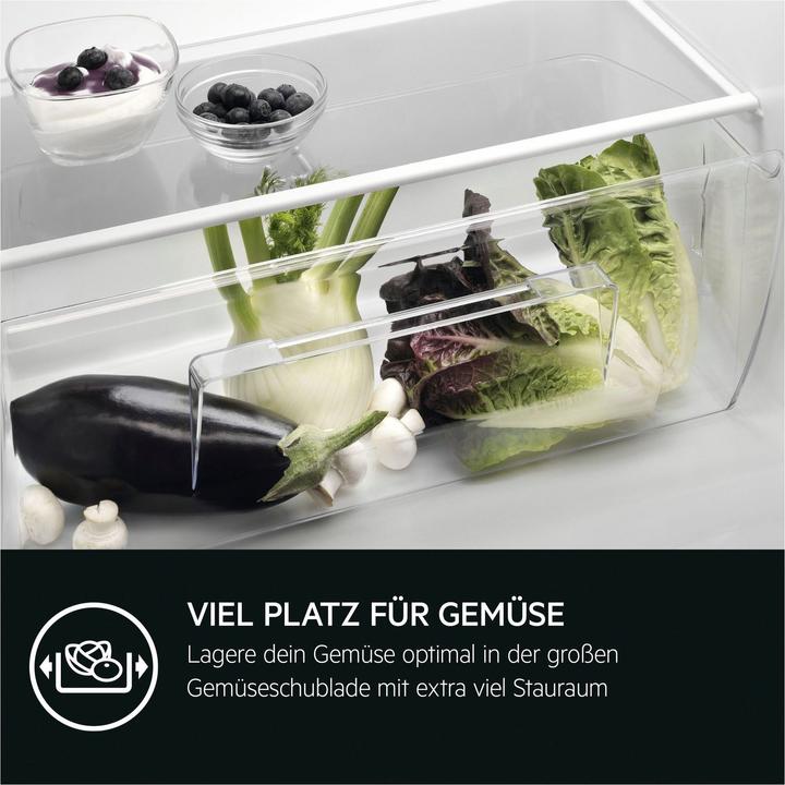 Produktbild AEG TSF5O881DF Einbaukühlschrank / 880 mm / 4-Sterne-Gefrierfach / 118 L / Festtür / D, 933020579 (118 l)