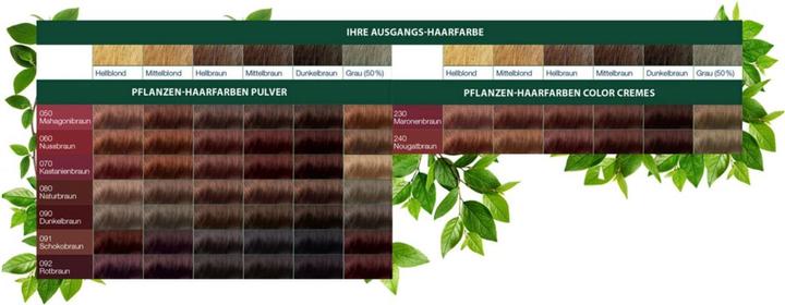 Immagine prodotto Logona Polvere di colore per capelli vegetale (080)