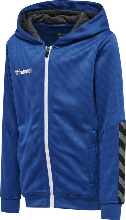 Actual product image hummel Authentic Kids Poly Zip Hoodie (176)
