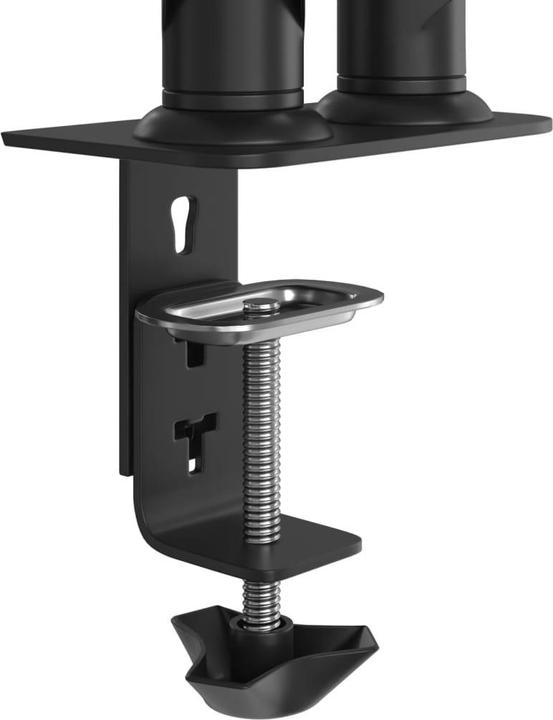 Image du produit VidaXL Bras pour écran double pour Max 27 pouces VESA 75/100 mm 20 kg (27")