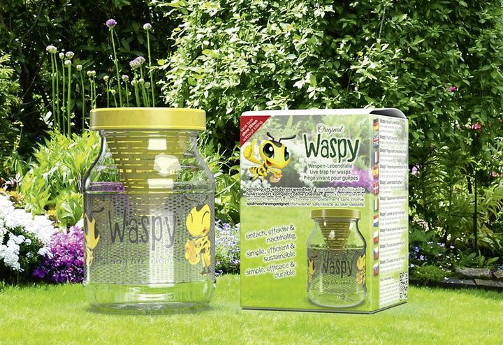 Image du produit Vincentes Waspy