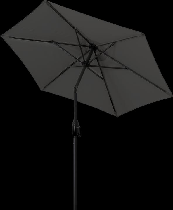 Image du produit Derby Basic Lift Neo (1.80 m)