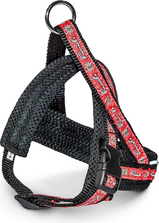 Immagine prodotto Freezack Harnais Nordic Mini Swiss (33, 34, 35, 36, 37, 38, 39, 40, 41, 42, Cane)