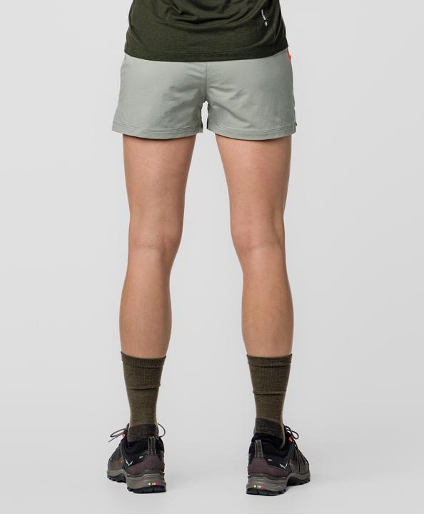 Image du produit Salewa Short femme Puez DST Cargo (38)