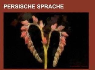 Persische Sprache (Deutsch, Books LLC, 2014)