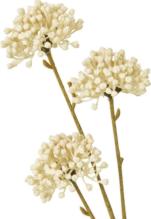 Immagine prodotto Hill Interiors Spray Allium Fiore Artificiale (60 cm)