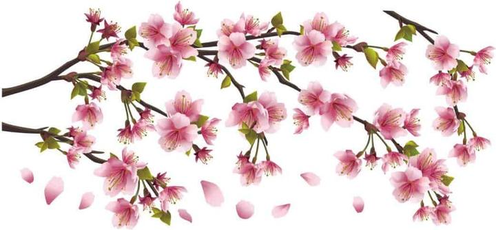 Immagine prodotto Trenddeko ramo dei fiori di ciliegio (200 x 93 cm)