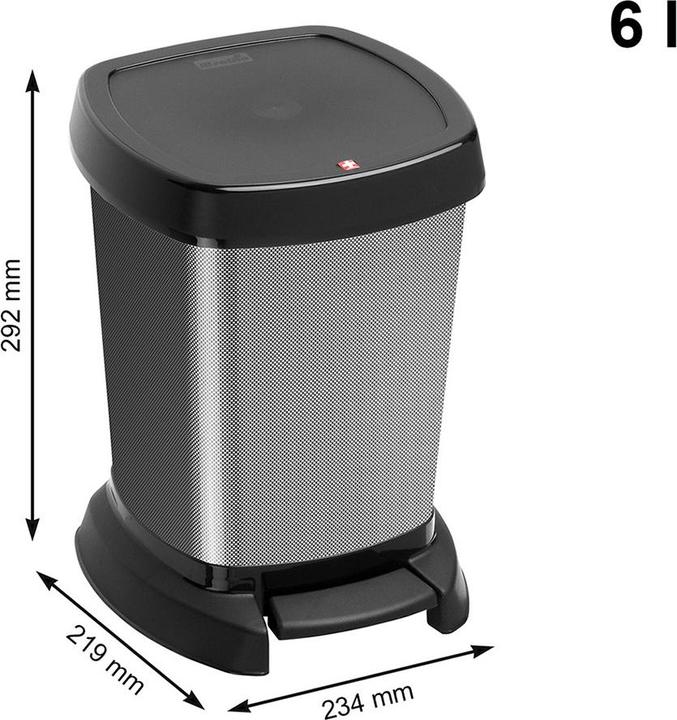 Actual product image Rotho Paso (6 l)