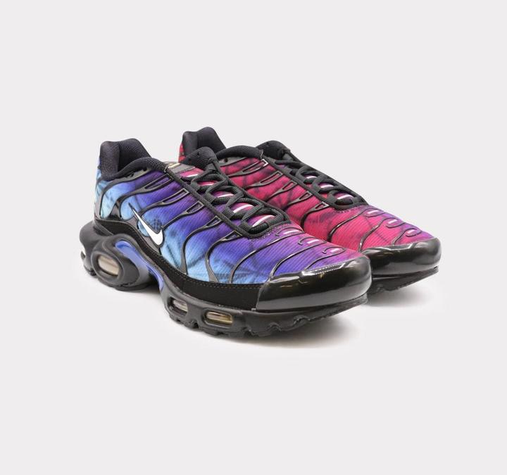 Nike Air Max Plus (45.5)