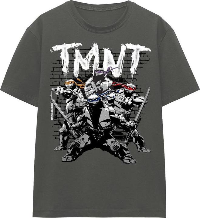 Actual product image Teenage Mutant NT Unisex Adult TMNT Team T-Shirt (XXL)