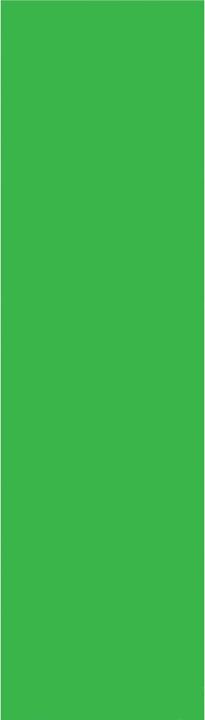 Image du produit Mobility on Board Green Colors Griptape (1 feuille)