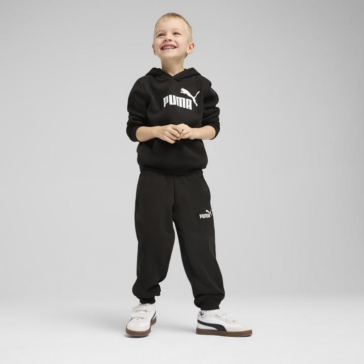 Image du produit Puma Sweat à capuche ESS No. 1 Logo FL PS (116)
