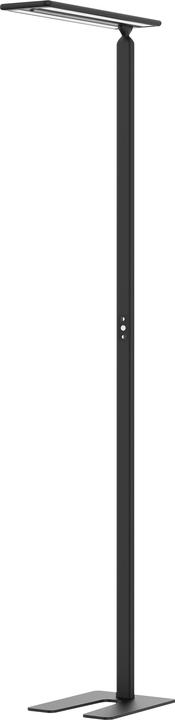 Actual product image Hansa Larimar LED floor light, touch sensor, height 1997 mm, black. (4700 lm)