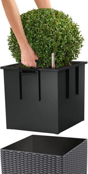 Actual product image Lechuza Cube Cottage (40 cm)
