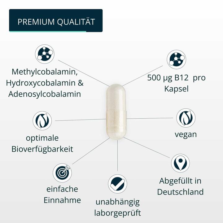 Immagine prodotto Brandl-Nutrition Vitamina B12 Vegan (1 Pezzo/i, Pillole, 45 g)