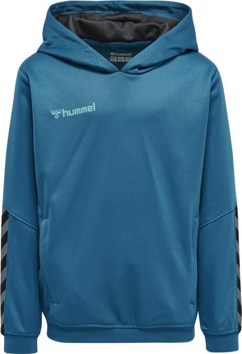 hummel Authentic Kids Poly Hoodie