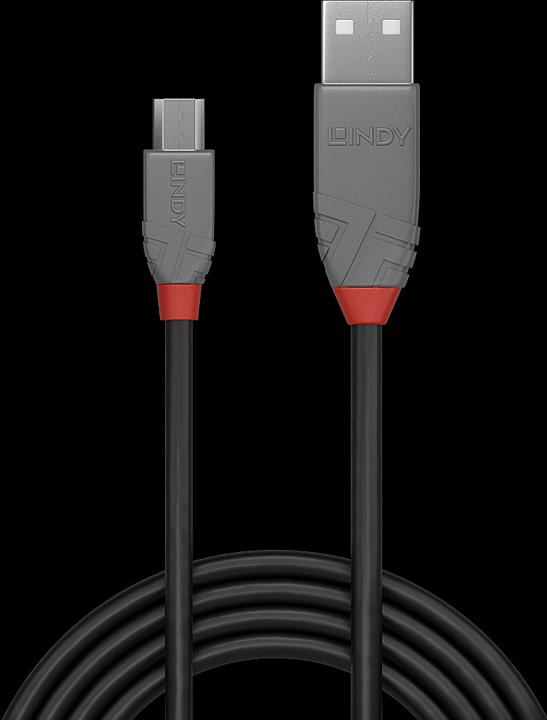 Immagine prodotto Lindy Anthra Line (0.20 m, USB 2.0)