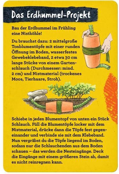 Image du produit Die Spiegelburg 50 Insectes, araignées & Co.