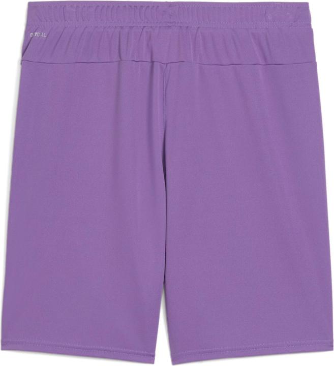 Produktbild Puma teamGOAL Shorts (3XL)
