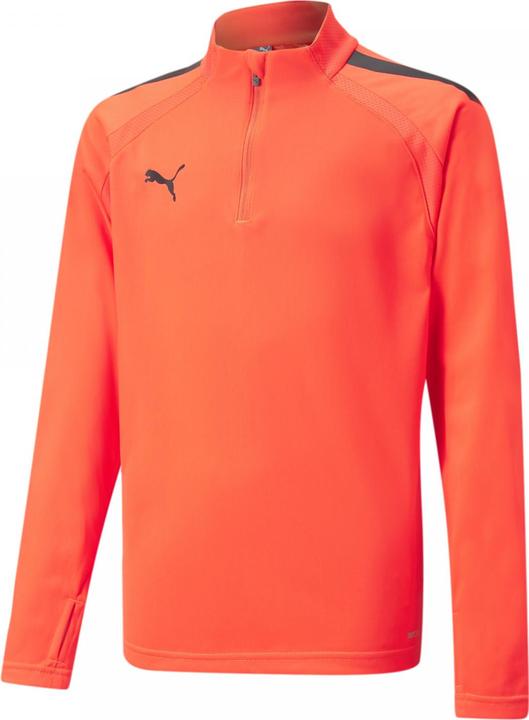 Actual product image Puma TeamLIGA 1/4 Zip Training Sweat Kids (116)