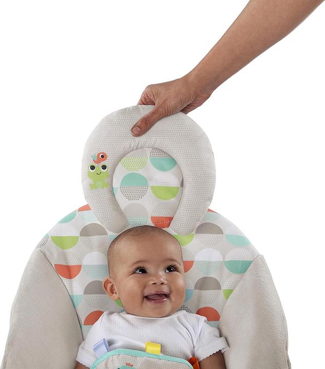 Actual product image Bright Starts Happy safari turtle