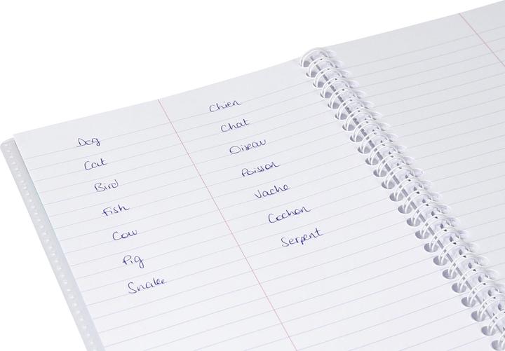 Actual product image Clairefontaine Vokabelheft Koverbook (A1, Lined)