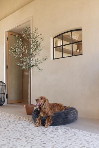 Produktbild Designed by Lotte Liegekissen Reza (Hund)