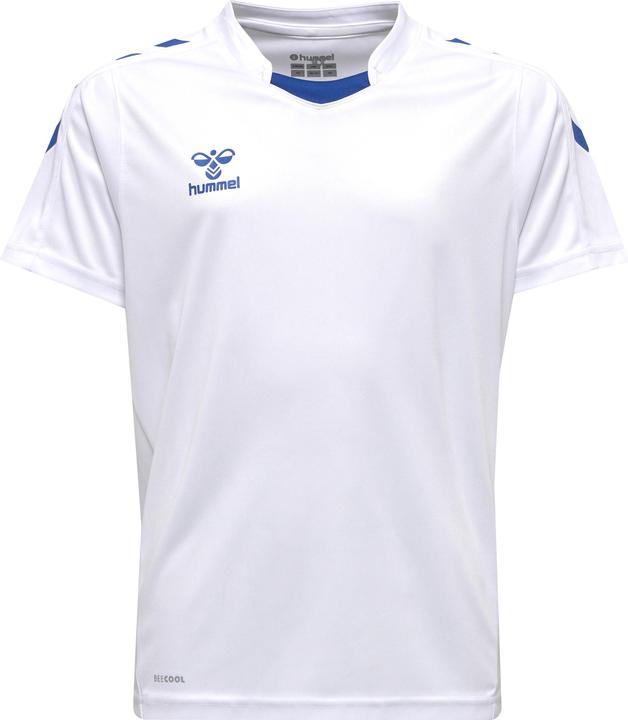 whitetrueblue