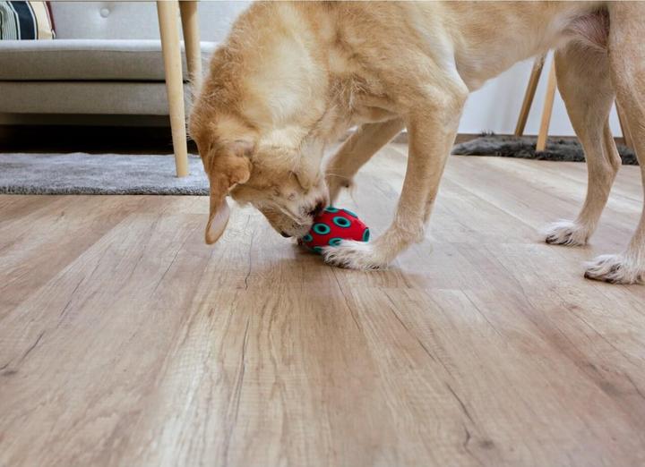 Productafbeelding Kerbl ToyFastic, kauwspeeltje voor honden, vulbaar tandvriendelijk Rugby (Kauwspeeltje voor honden)