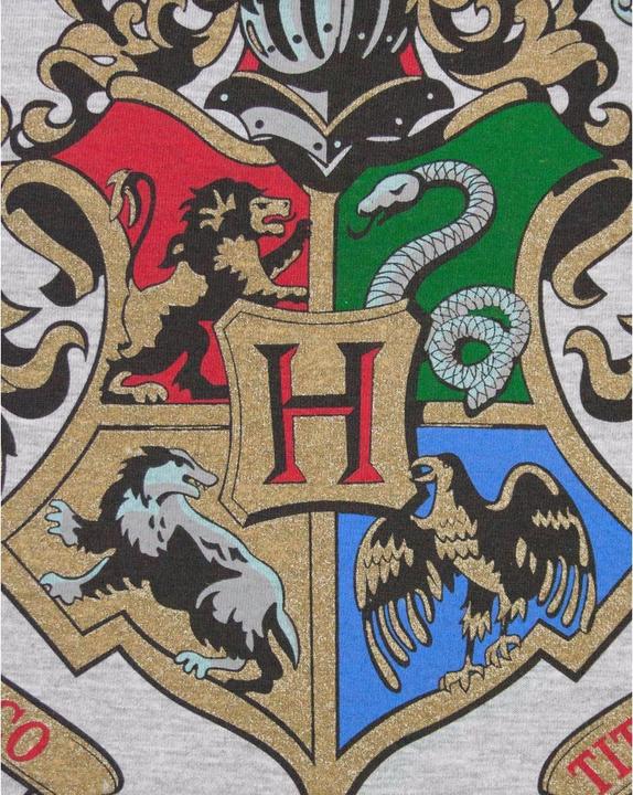 Immagine prodotto Top Raglan Hogwarts (XL)