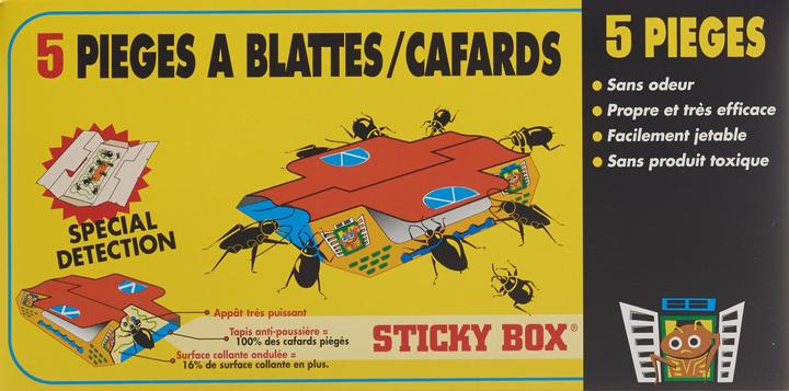 Actual product image Sticky Box cockroach trap