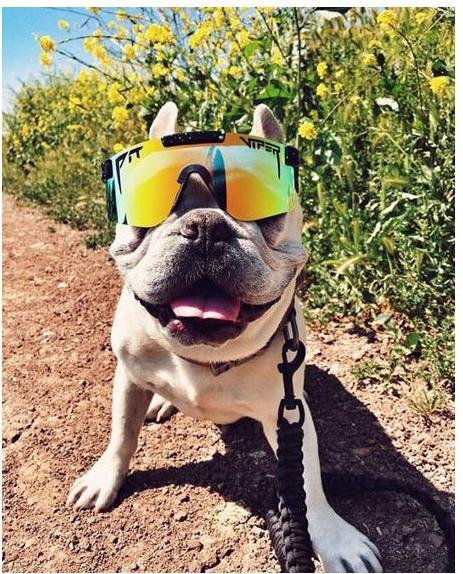 Immagine prodotto Pit Viper The Monster Bull Polarized (Nero, Azzurro)