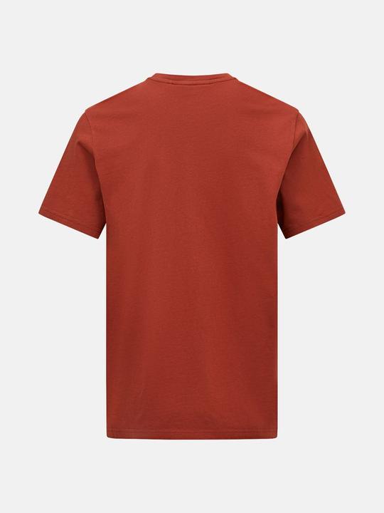 Image du produit Peak Performance Thé original (L)