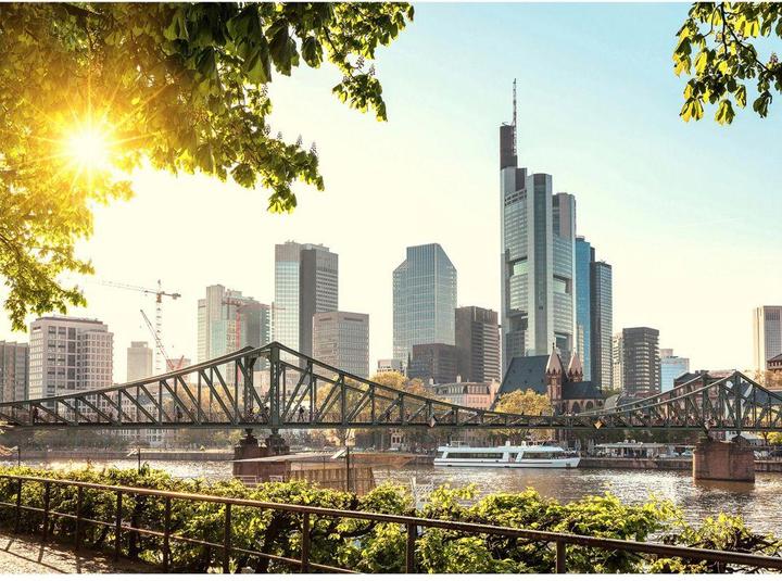Produktbild Livingwalls Designwalls Frankfurt City Stadt (350 x 255 cm)