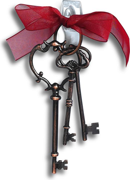Actual product image Command Hook
