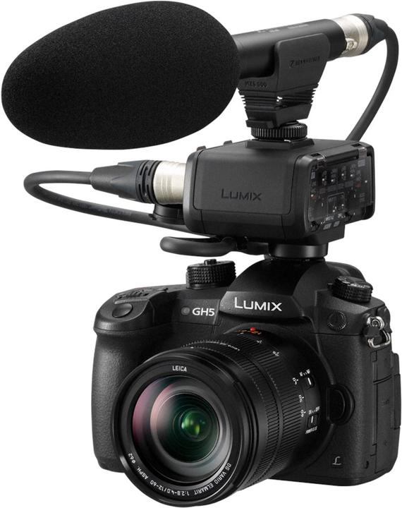 Actual product image Panasonic Video Interface DMW-XLR1 for GH5